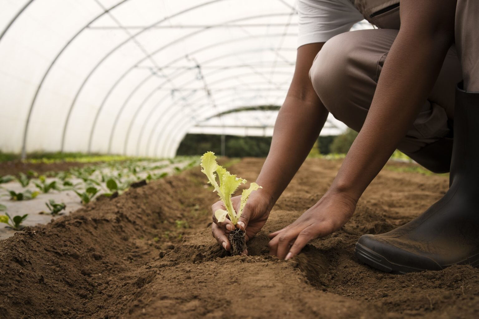side-view-peasant-hands-gardening