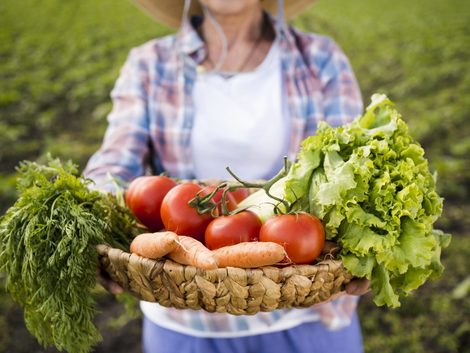 woman-holding-basket-full-vegetables-close-up