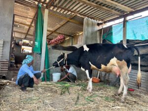Blog Agri Image