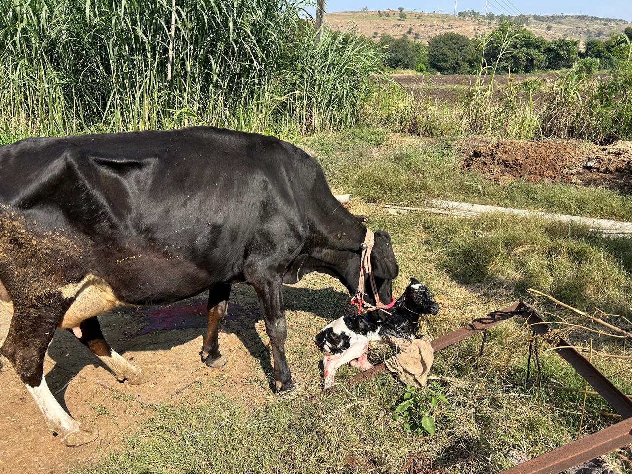 Blog Agri Image_1
